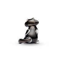 Charm Pandora Donna in Argento 794741C01 - 794741C01